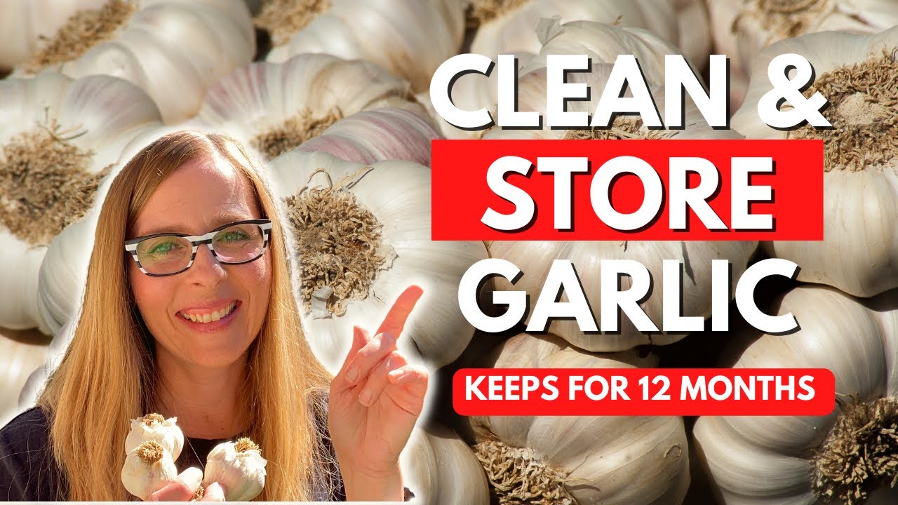 Garlic Clean 🧄Do This To Clean Fresh Garlic So It Lasts 12 Months - YouTube