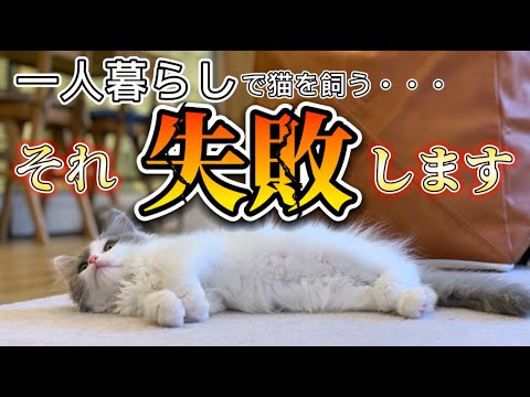 【一人暮らし】猫を飼って失敗しないために hqdefault