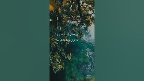 حالات واتس أب قرأن راحة نفسية// القارئ: أحمد خضر