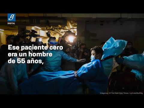 Covid-19: A un año del paciente cero en México - Gaceta UNAM