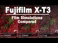 Fujifilm X-T3: EVERY Film Simulation Compared + My favorite pick for video
