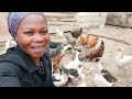 Sifa Za Mwanamke Mzuri Anaye Takiwa Kuolewa Na Akatulia Kwa Mawasiliano Zaidi 0769015164 Sifa Za Mwanamke Mzuri Anaye Takiwa Kuolewa Na Akatulia Kwa Mawasiliano Zaidi 0769015164
