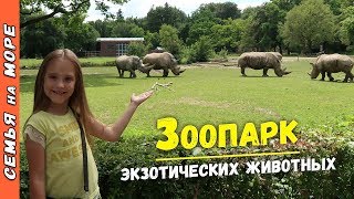 Идем в ЗООПАРК смотреть на Кенгуру, Тигра, Льва, Пингвина, Слона и других животных Идем в ЗООПАРК смотреть на Кенгуру, Тигра, Льва, Пингвина, Слона и других животных