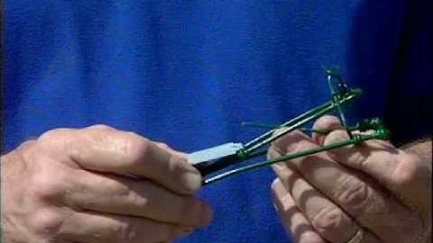 Pocket Gopher - How to set a Macabee Gopher Trap