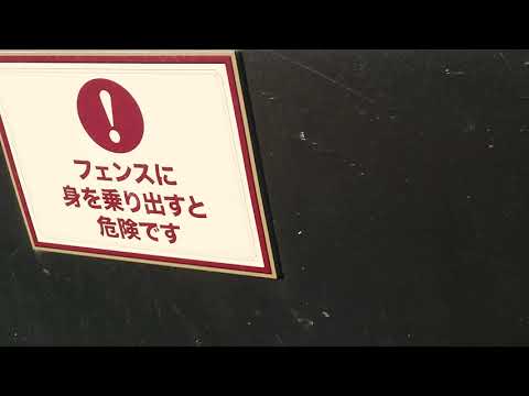 中日ドラゴンズの大島洋平選手の練習