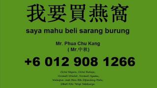 suara burung walet