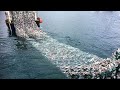 Wow!! Net Fishing - Big Fishing Catching Skill, Net Fishing in The Sea #02