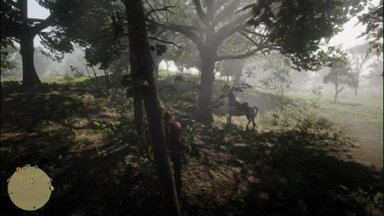 Red Dead Redemption 2 wild flowers map YouTube