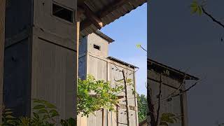 Download Lagu untuk hari ke 2 responnya masih bertahan...dengan sp bikin onar..#sufar sinar 77.Twb... MP3