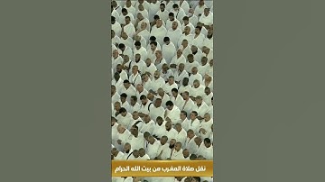 سورة البلد الشيخ ياسر الدوسري