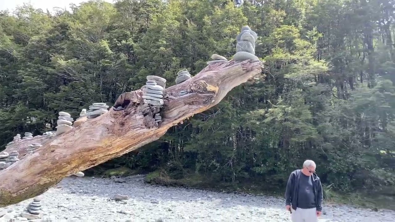 Fantail Falls, Nova Zelândia. Lugar mágico.