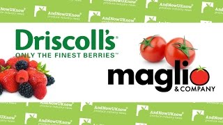 AndNowUKnow - Driscoll's, Maglio - Quick Dish