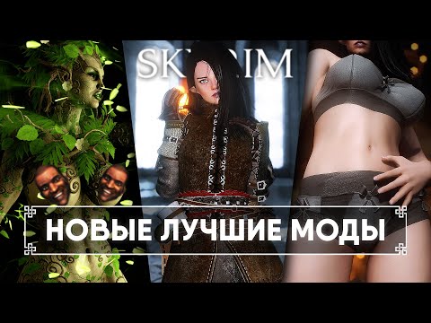 Видео: Skyrim Новые Лучшие Моды 🅒 Скайрим Топ Моды 2023 #16 [4K]