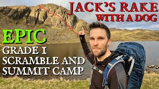 CHALLENGING SCRAMBLE JACK’S RAKE to PAVEY ARK SUMMIT - Wild Camping Solo with a Dog Lake District UK