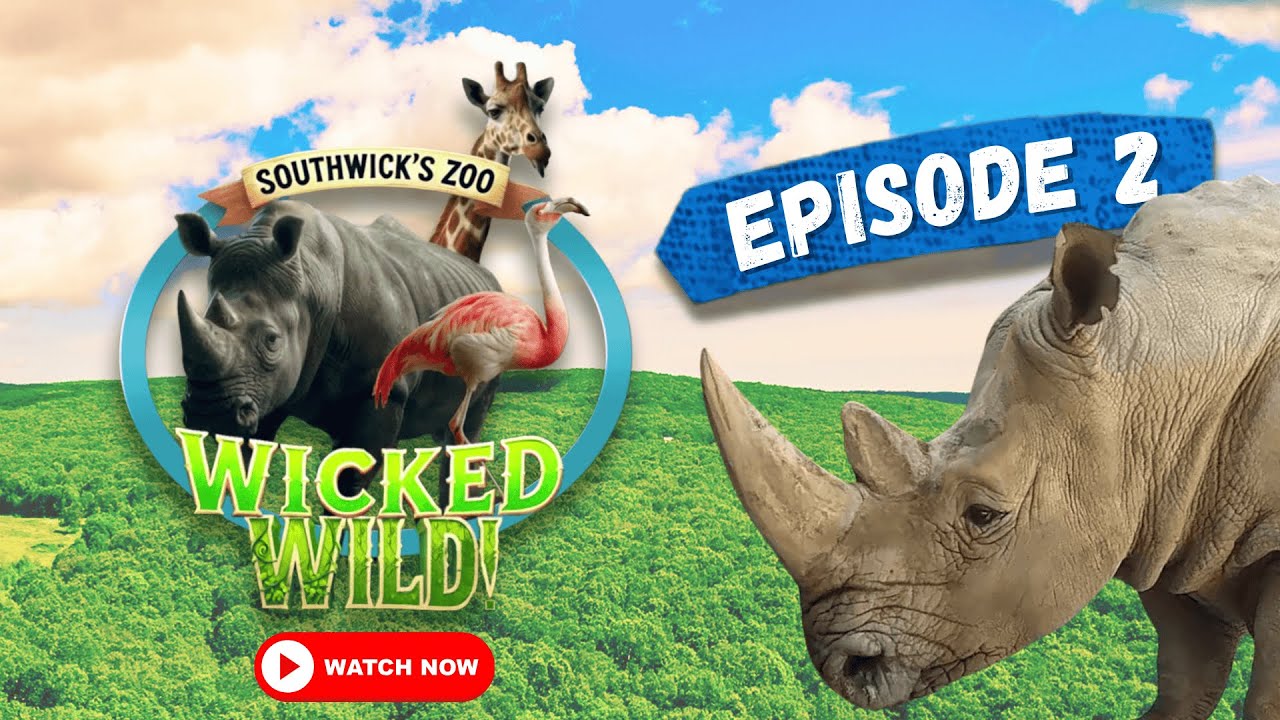 Episode 2: Creatures Great and Small (Wicked Wild: Inside New England's Biggest Zoo)