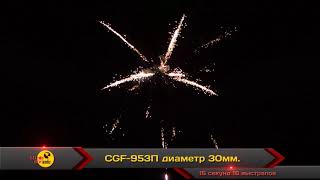 CGF 953П