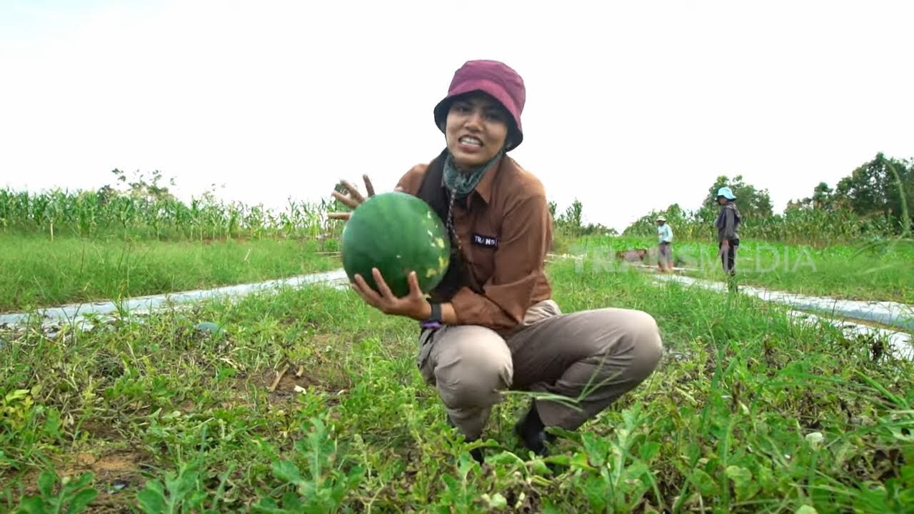 POTRET MASYARAKAT ADAT DI KUTAI BARAT | INDONESIAKU (23/09/24) Part 2
