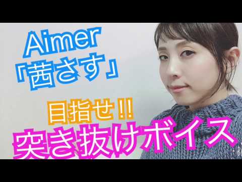 Ａｉｍｅｒ【茜さす】突き抜けボイスを目指せ！愛先生による《カラオケが上手くなる方法》