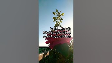 القارئ بدر التركي