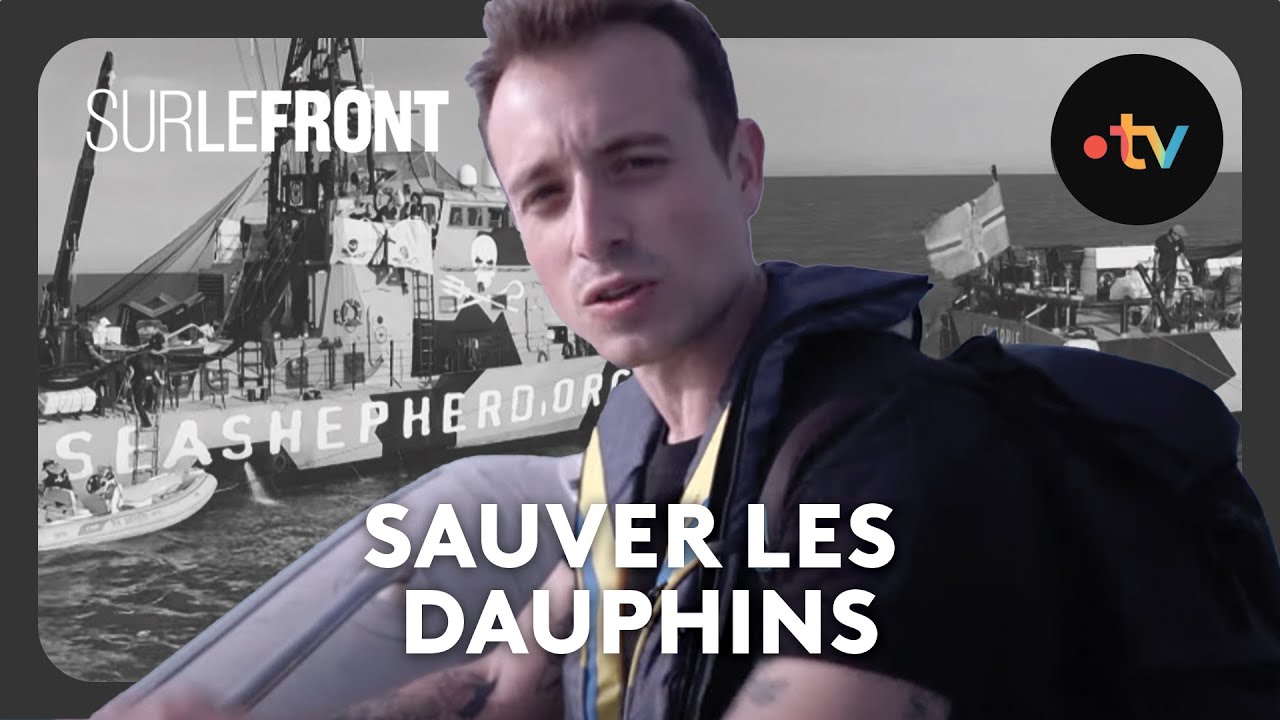 Risquer sa vie pour sauver les tous derniers vaquitas !