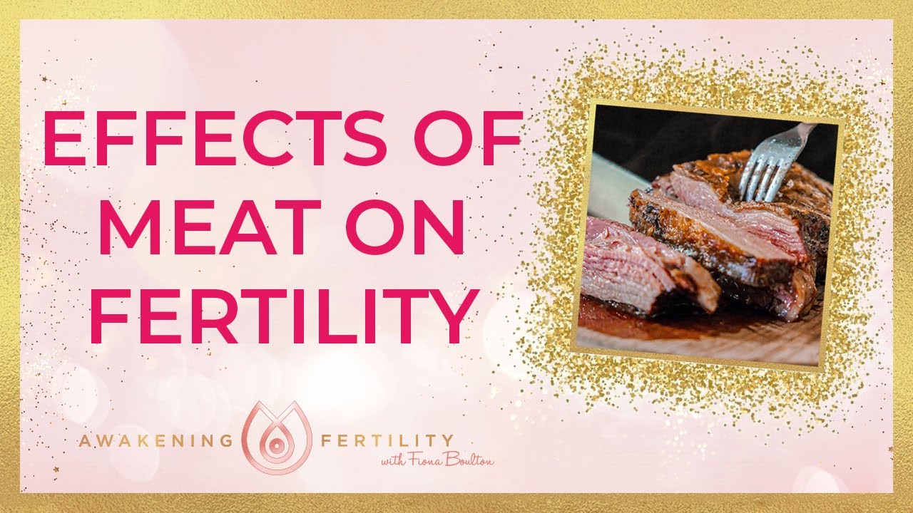 Is eating meat BAD for fertility? What YOU NEED TO KNOW WHEN TTC YouTube