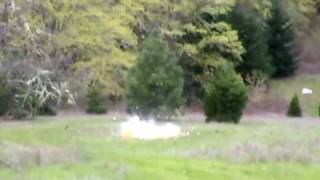 tannerite teddy terror