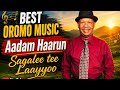 Best Oromo Music Aadam Haarun Sagalee Too Laayyoo Biyyo Production Oromo Music 