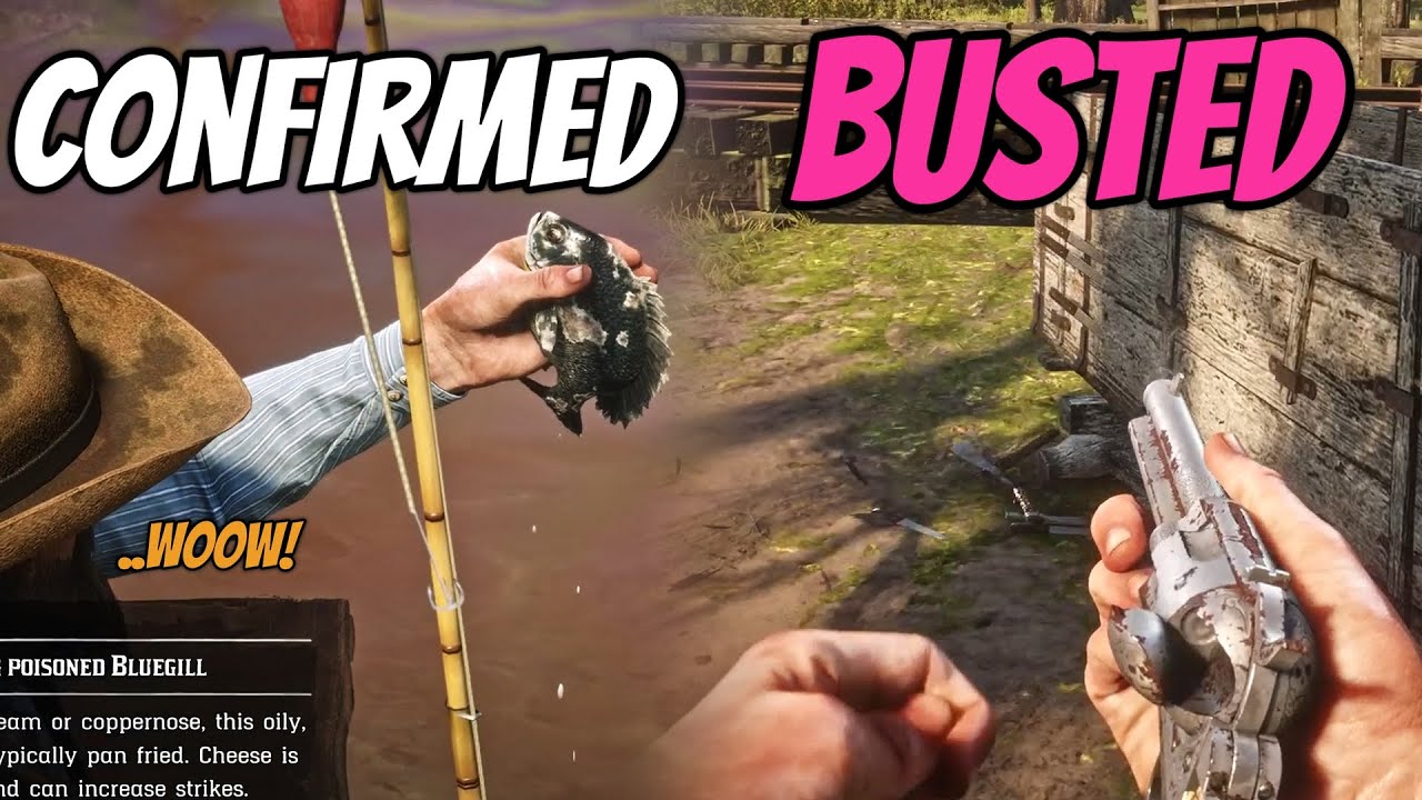 LEGENDS vs REALITY Revealing 22 Myths in RDR2 - YouTube