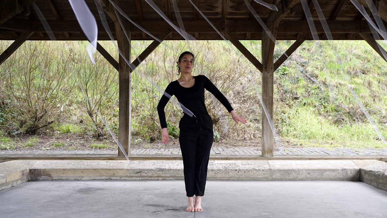 Petit Bestiaire (Hallopeau) - Stella Montis - Distencia 22