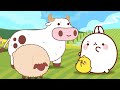 Molang | At The Farm | Funny Cartoons For Kids