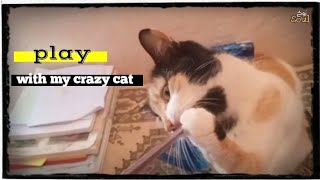 لعبت مع القطة المشاغبة ? | قطط مضحكة | play with cats soul_روح