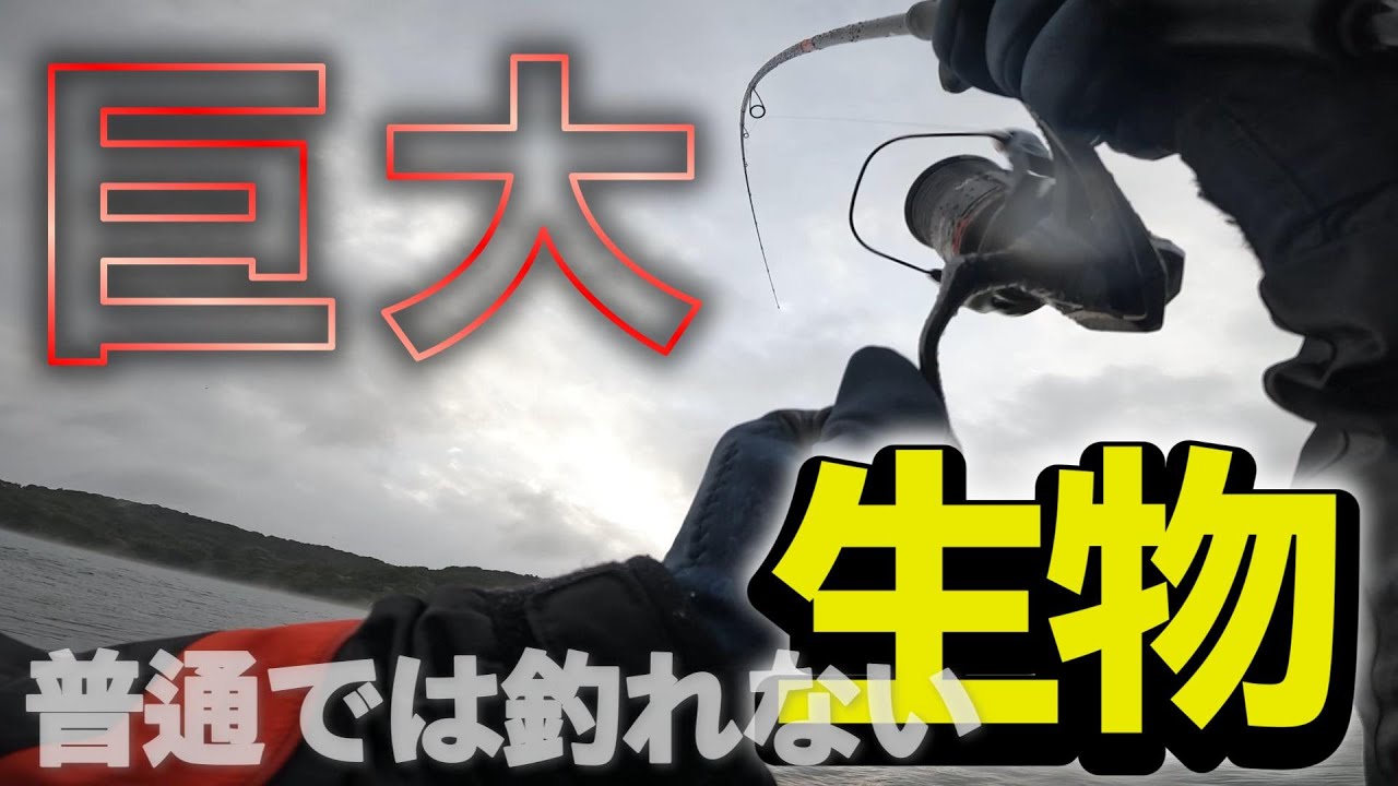 ルアーでは釣れにくい巨大生物がDAIWAレーザーインパクト搭載ルアーに食いついてきた!!