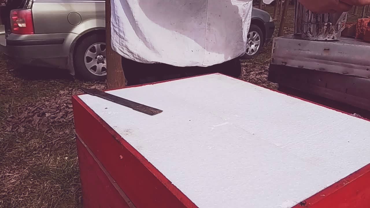 Kako ubrzati razvoj pčelinjih zajednica