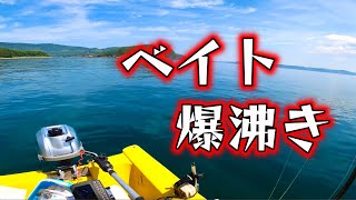 爆沸きベイトに群がる大物が連続ヒット！二馬力ボートは色々釣れる！