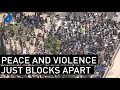 Looting and Peaceful Protests Happen Blocks Apart in Santa Monica | NBCLA