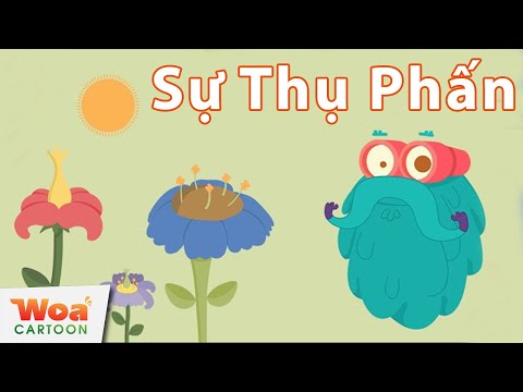 Video: Bài học về thụ phấn - Cách dạy trẻ em về thụ phấn