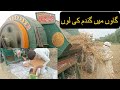 Wheat Threshing and  harvesting in village | wheat session - Daily Village Life  | Explore Mee #VLOG