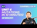 Understanding Mutations in Biology