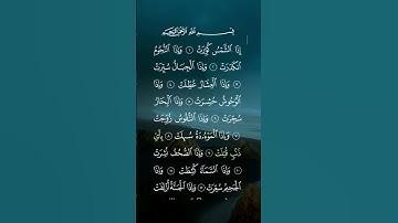 سورة التكوير ... الشيخ سعد الغامدي