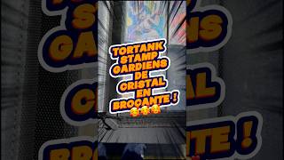 Magnifique #tortank Stamp Gardiens de cristal bloc ex à 15€ en #brocante ! 🥰 #videgrenier #pokemon