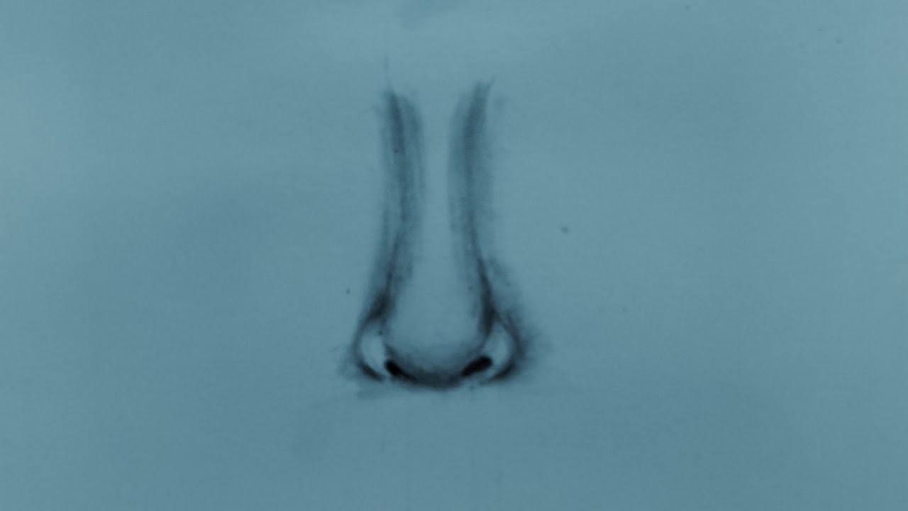 Realistic Nose 👃 II Graphite/Charcoal sketch 