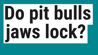 Do pit bulls jaws lock?