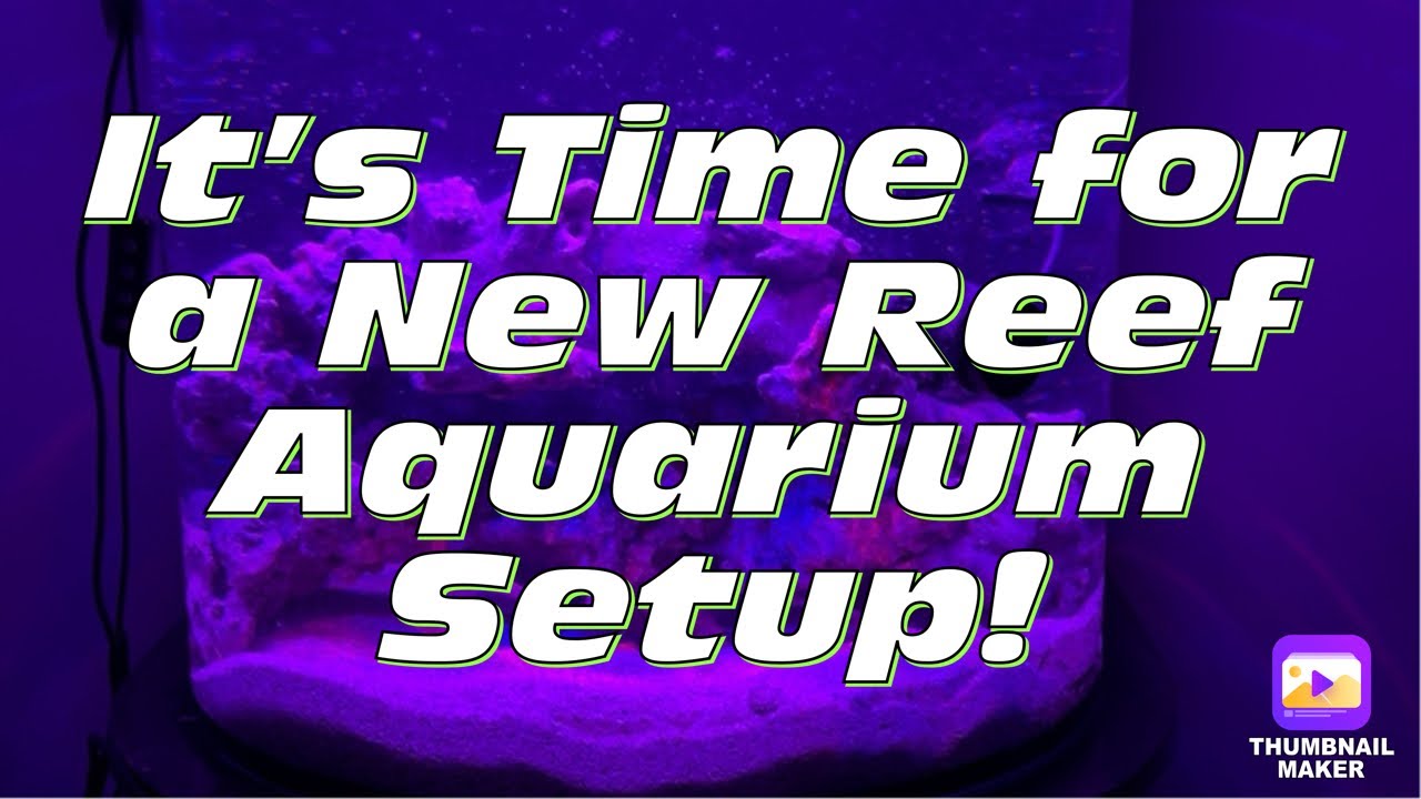 Gallery Detail: It S Time For A New Reef Aquarium Setup Part