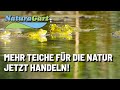 NaturaGart-Initiative: Teiche im Außenbereich