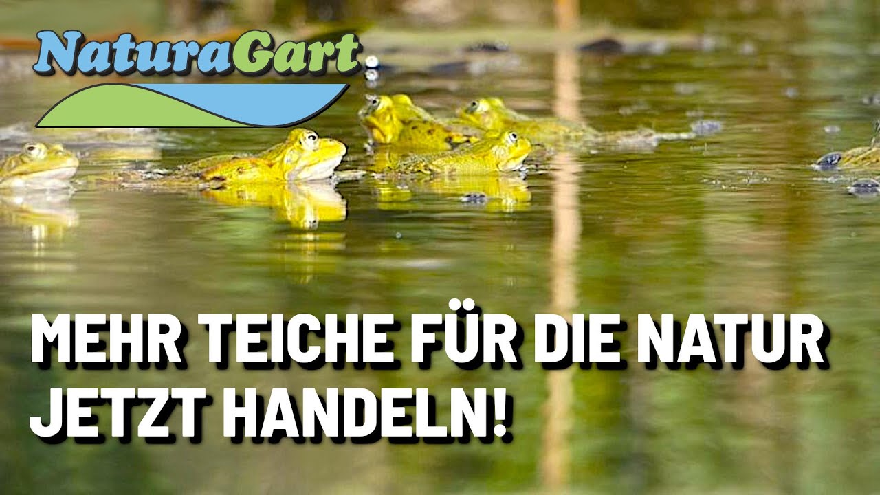 NaturaGartInitiative Teiche im Außenbereich YouTube