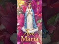 Breve Súplica a Nossa Senhora