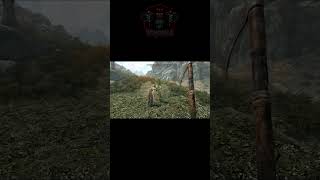 First time I've seen this match up #skyrim #elderscrolls #gaming #bethesda #fypシ #fyp #skyrimmoments
