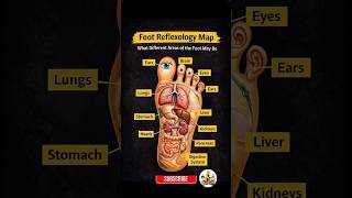 Foot Reflexology map #healthyfood #healthy #treanding #healing #viral