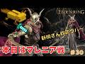 【ELDEN RING】本日はマレニア戦　新規さん歓迎【エルデンリング】