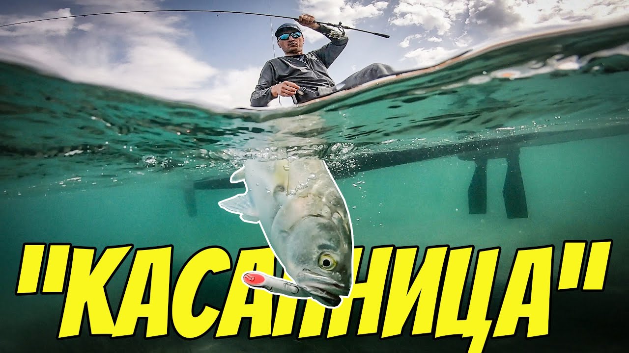 ИЗЯДОХА НИ ПРИМАМКИТЕ!! БРУТАЛЕН РИБОЛОВ НА ЛЕФЕР НА ПОВЪРХНОСТНИ ПРИМАМКИ